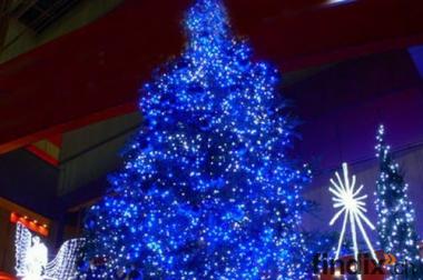 Weihnachten Lichtkette 2013 kaufen 10m 100LED blau