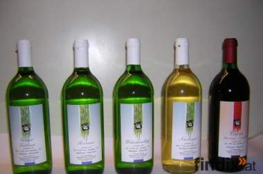 Weinbau Haidinger bietet NÖ Qualitätsweine Jahrgang