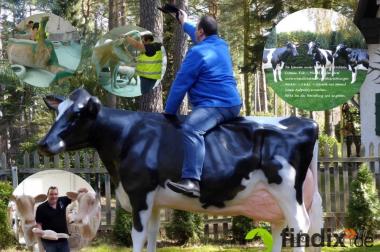 Wieso hast Du nicht so ne Holstein Friesian Deko Kuh 