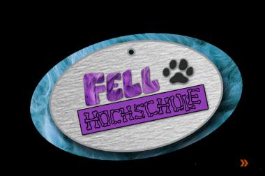 FellHochschule Hundetraining Köln