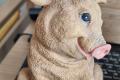 2 Süße Schweine für die Vitrine oder Verkaufstheke