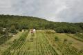 Anwesen mit Weinberg und Wohnhaus in Vinica / Slowakei