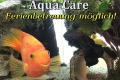 Aqua Care // Aquarium Service // Reiniger