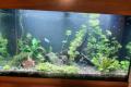 AquariumJuwel Rio 125l komplett mit Schrank + Fische