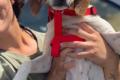 Ariel, a.d.Tierschutz, sucht Happy-Home