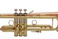 Bach Stradivarius Profi-Trompete. Mod. 190-43 B Bronzeschallstück