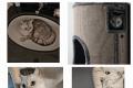 BKH Kater Silver Tabby