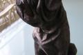 Bulldogge mit Zigarre aus Polystein H ca. 32 cm