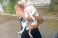 Camilla, a.d.Tierschutz, sucht Happy-Home