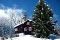 Chalet in Haute-Nendaz zu verkaufen