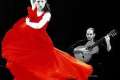 Cursos de flamenco y sevillanas a todos los niveles