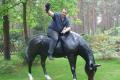 Deko Pferd grasend zum aufsitzen bis 100 kg