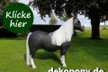 Deko Shetland Deko Pony lebensgroß jetzt erwerben 