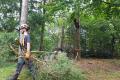 Dienstleistungen für Baumpflege und Baumfällung