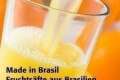 drink fresh fruit aus Brasilien