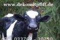 Du möchtest auch ein Deko Kälbchen?