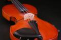 Elektronische Violine, halbakustisch aus guten Geigenholz