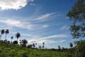 Finca mit großem Grundstück in ruhiger Lage in 