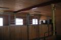 Box mit Auslauf auf Bauernhof in Gondiswil