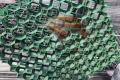 Gartenplatten TOP Rasengitter, Kieswaben & 