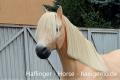 Haflinger 3D Pferd lebensgroß belastbar zum 