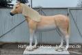 Haflinger - Horse - Pferd - Modell - lebensgroß Tel.