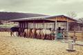 Heuraufe & Pferderaufe | Futterraufe und Fressgitter 