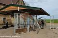 Heuraufe & Pferderaufe TOP Hochwertige Futterraufen |