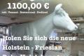Holen Sie sich die neue Holstein - Friesian Deko Kuh lebensgross
