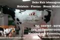 Holstein - Friesian Deko Kuh als Melkkuh ...