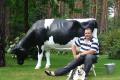 Holstein - Friesian Deko Melk Kuh lebensgross