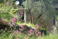 In Italien Ligurien charmantes Häuschen mit 5000 m2 Grundstück