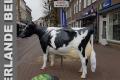 Ja ne Holstein Friesian Deko Kuh lebensgroß ...