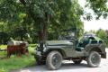 Jeep CJ 5 Willis Overland