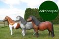 Kauf Dir mal ein Shetland Deko Pony Pferd lebensgroß