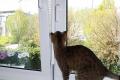 Kippfensterschutz für Katzen von austmetall, ohne 