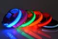 LED Hundehalsbänder in 6 Neon Farben - 5,00€ pro Stück