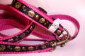 Luxus Halsband & Leine 17-25cm NEU Chihuahua 