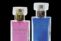 Maybe Lauretta Larix Perfume: Gratisprobe Parfüm 