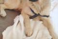 Murna sucht Happy-Home