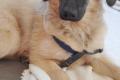 Murna sucht Happy-Home