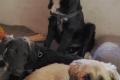 Murna sucht Happy-Home