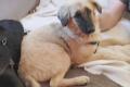 Murna sucht Happy-Home