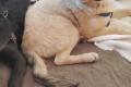 Murna sucht Happy-Home