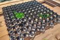 NEOGRID 40 Rasengitter kaufen | Stabiles 