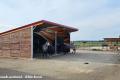 Offenstall bauen & Pferdeunterstand TOP Weidehütte -