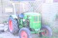 Oldtimer Traktor - F1 L 514 Deutz - Bj 54 - Neuwertig