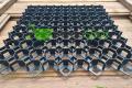 Paddockplatten - Kieswaben, Bodengitter, Rasengitter 