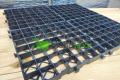 Paddockplatten & Rasengitter kaufen, Paddockgitter 