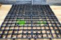 Paddockplatten & Rasengitter kaufen, Paddockgitter 